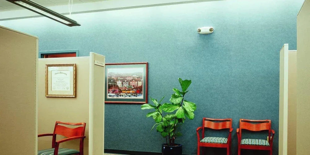 A Guide to Emergency Light Codes and Standards - Bees Lighting