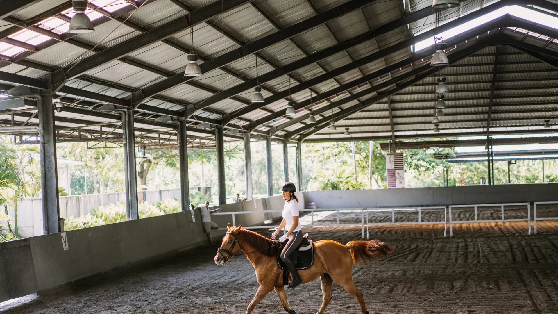 Horse Arena Lighting - Bees Lighting