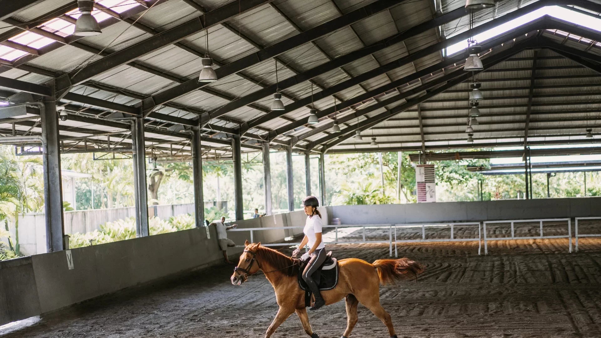 Horse Arena Lighting - Bees Lighting
