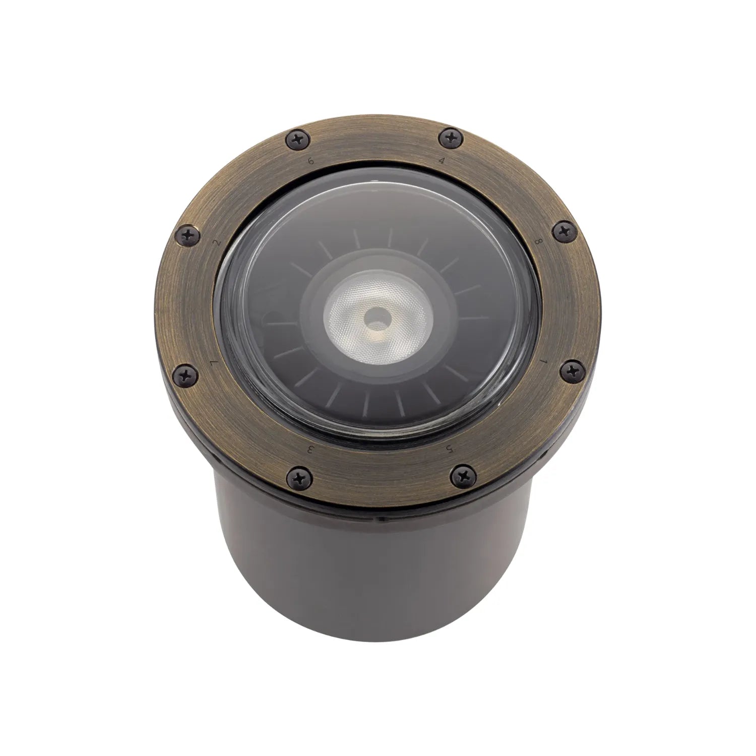 In-Ground Well Lights - Bees Lighting