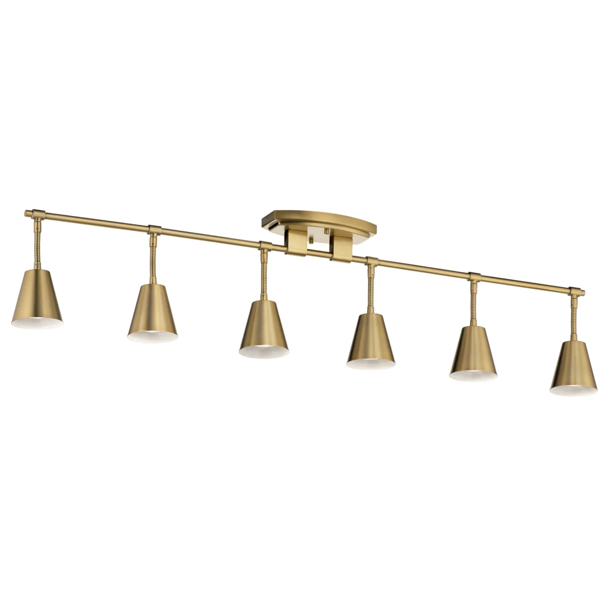 Sylvia 45" 6-Light Fixed Rail Light, Brushed Natural Brass Finish - Bees Lighting