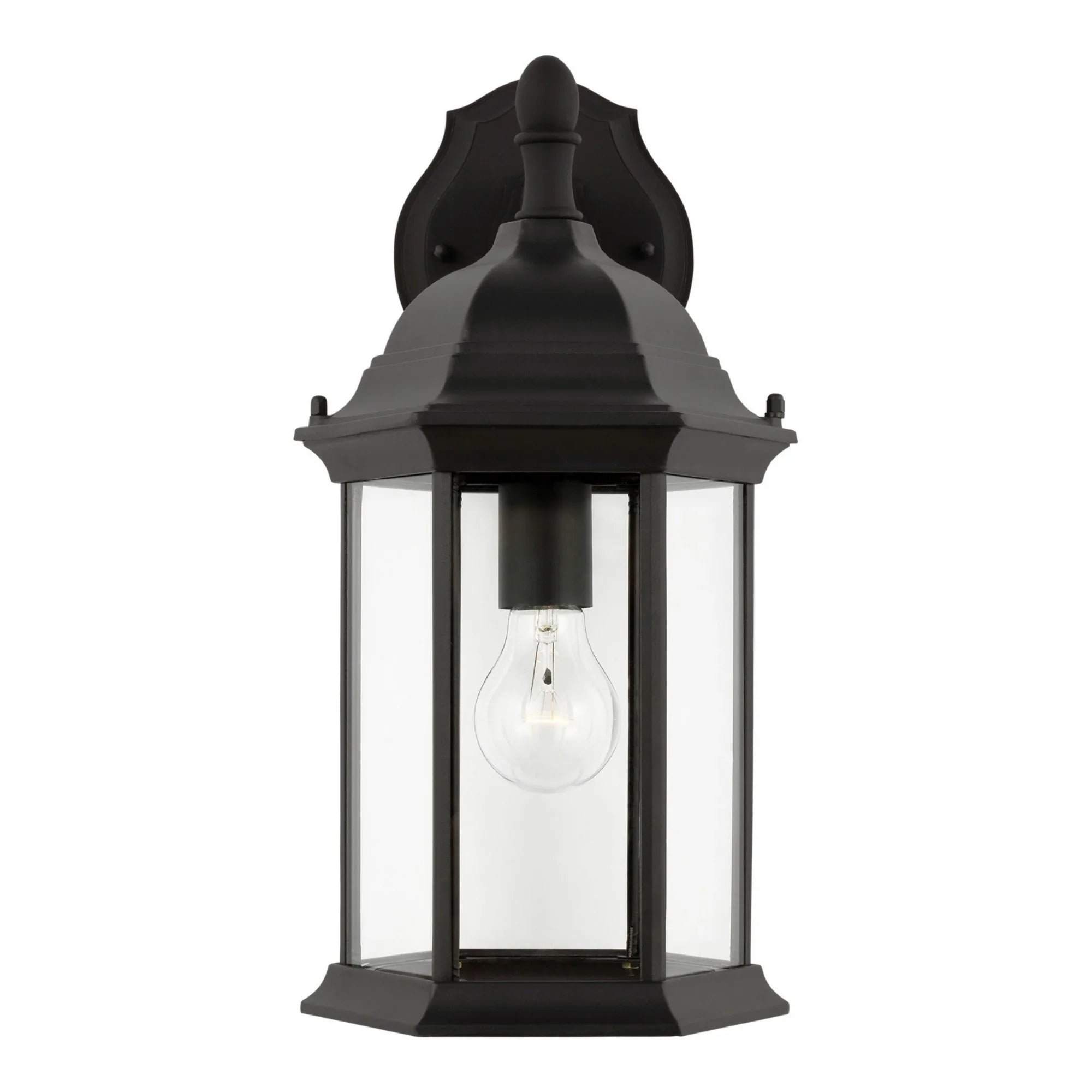 Sevier 16" Medium Downlight Outdoor Wall Lantern, Black Finish with Clear Glass - Bees Lighting