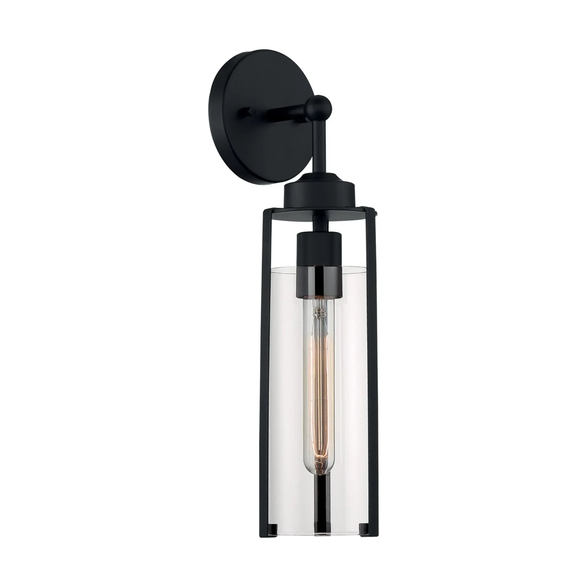 Marina 17 in. 1 Light Armed Sconce, Clear Glass - Bees Lighting