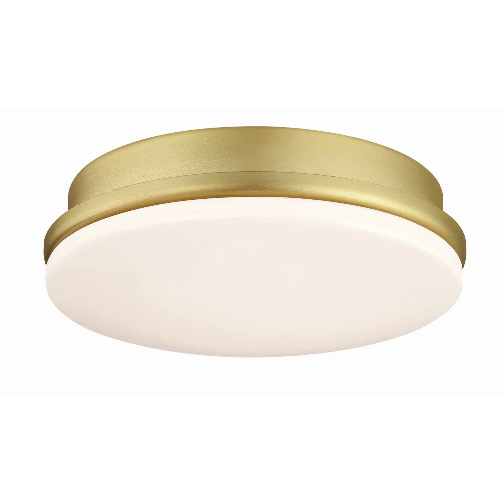 Kute and Kute5 LED Light Kit, Brushed Satin Brass Finish - Bees Lighting