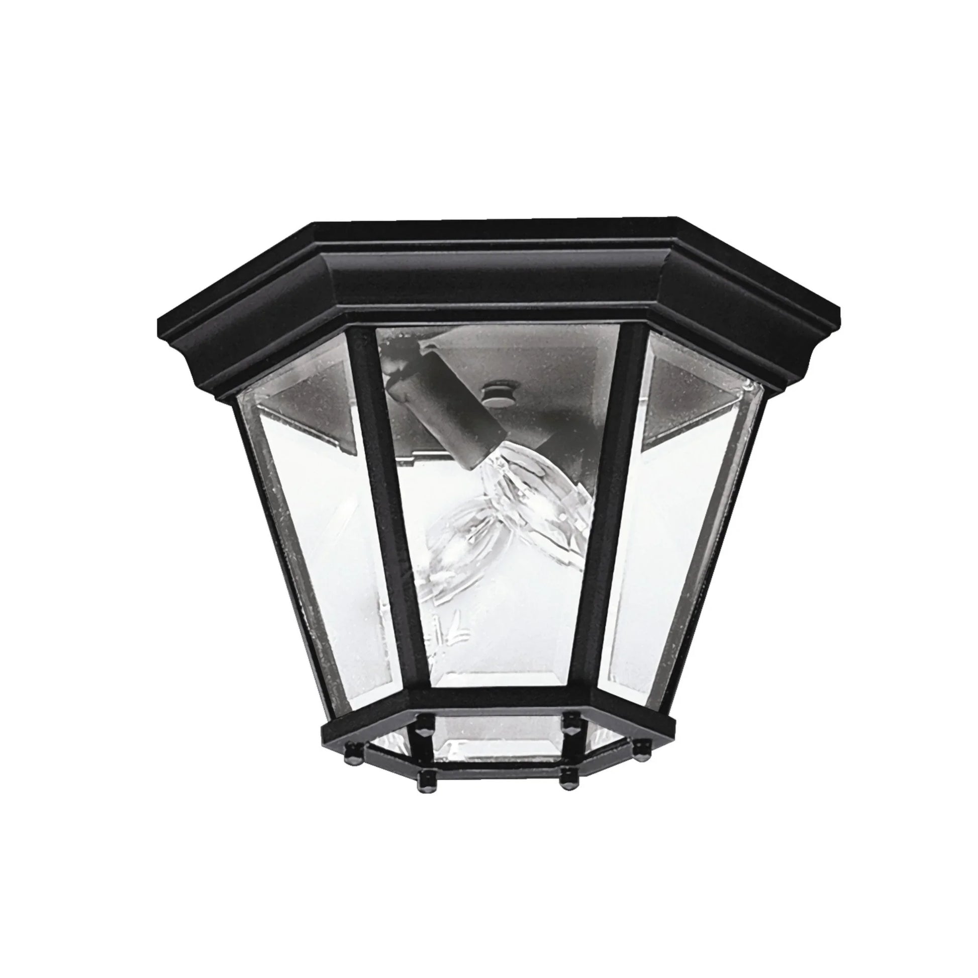 Madison 11" 2-Light Outdoor Ceiling Light, Black Finish - Bees Lighting