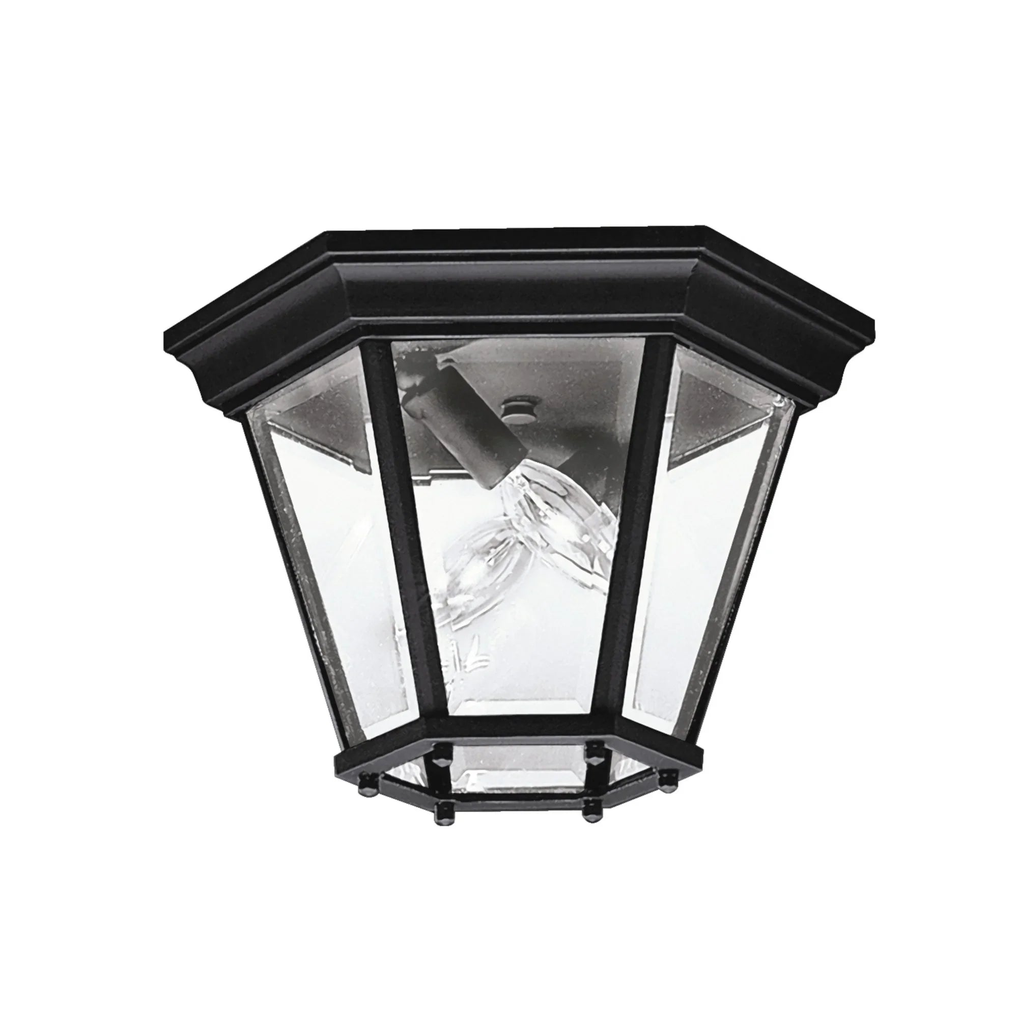 Madison 11" 2-Light Outdoor Ceiling Light, Black Finish - Bees Lighting
