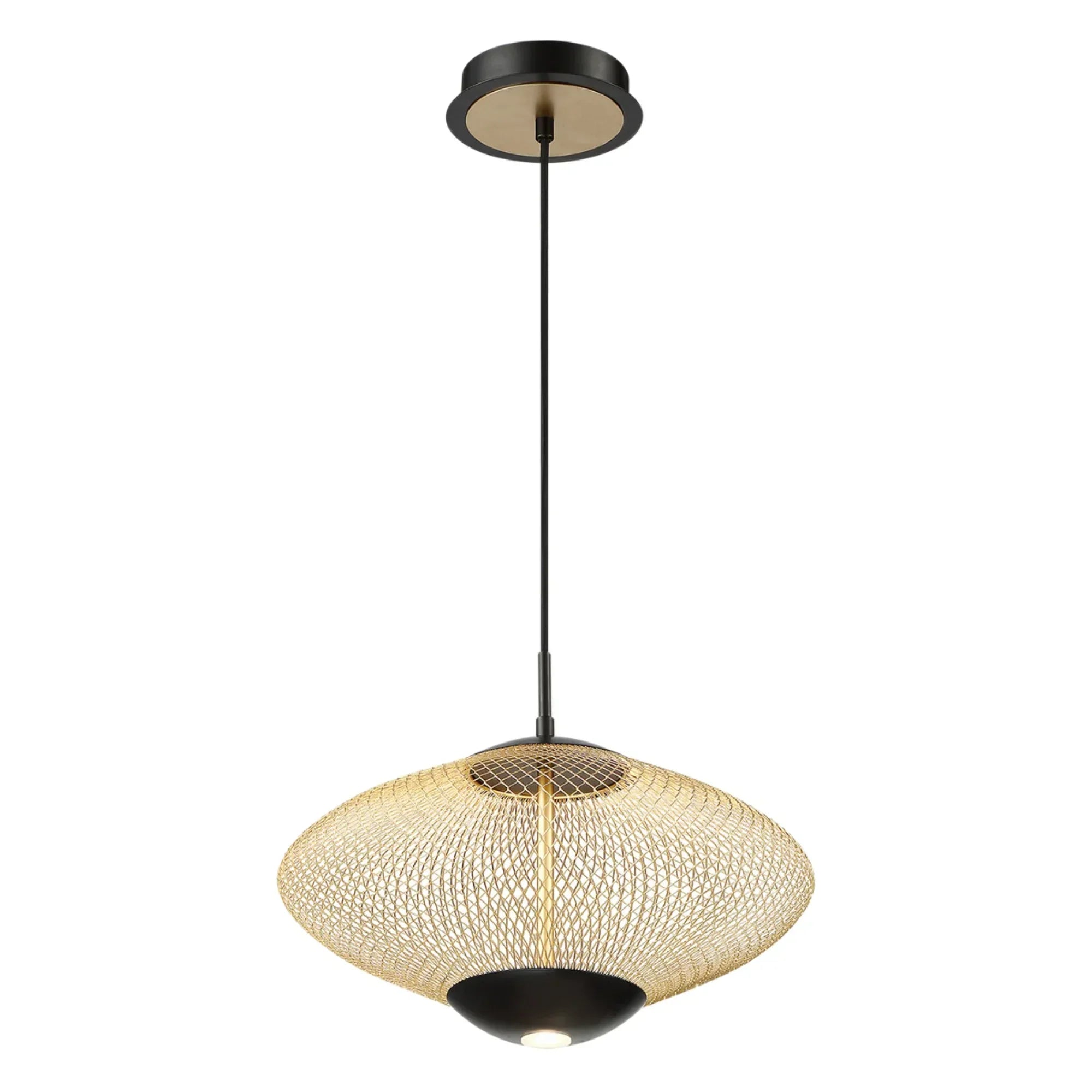 Park LED Pendant Light Black finish - Bees Lighting