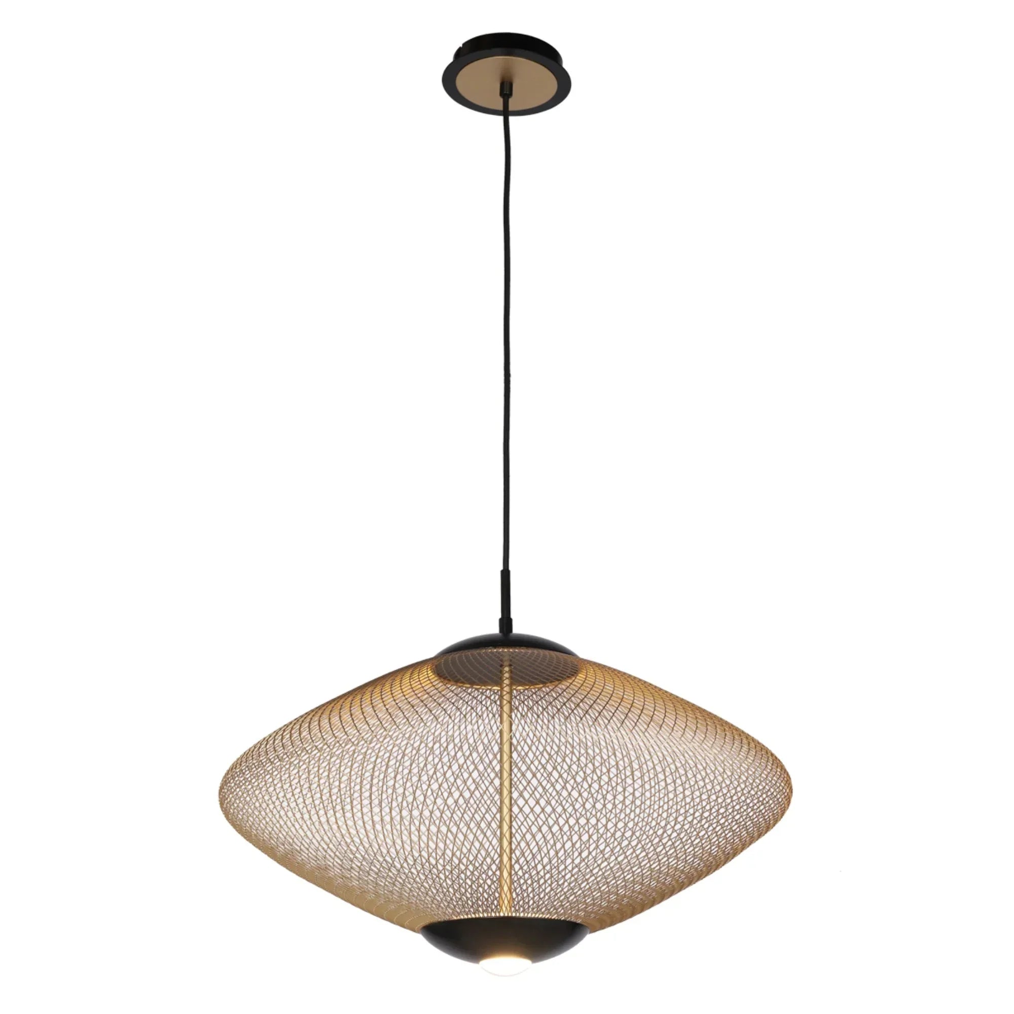 Park LED Pendant Light Black finish - Bees Lighting