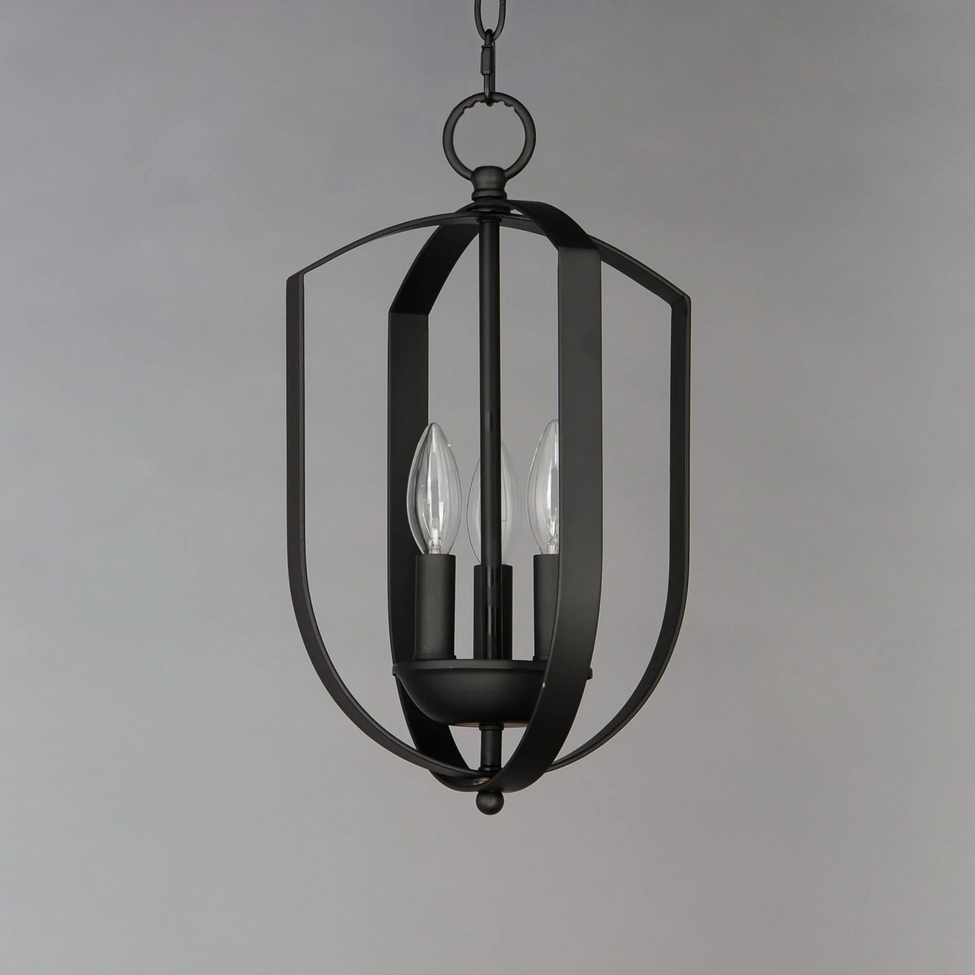 Provident 16" 3-Light Chandelier, Black Finish - Bees Lighting