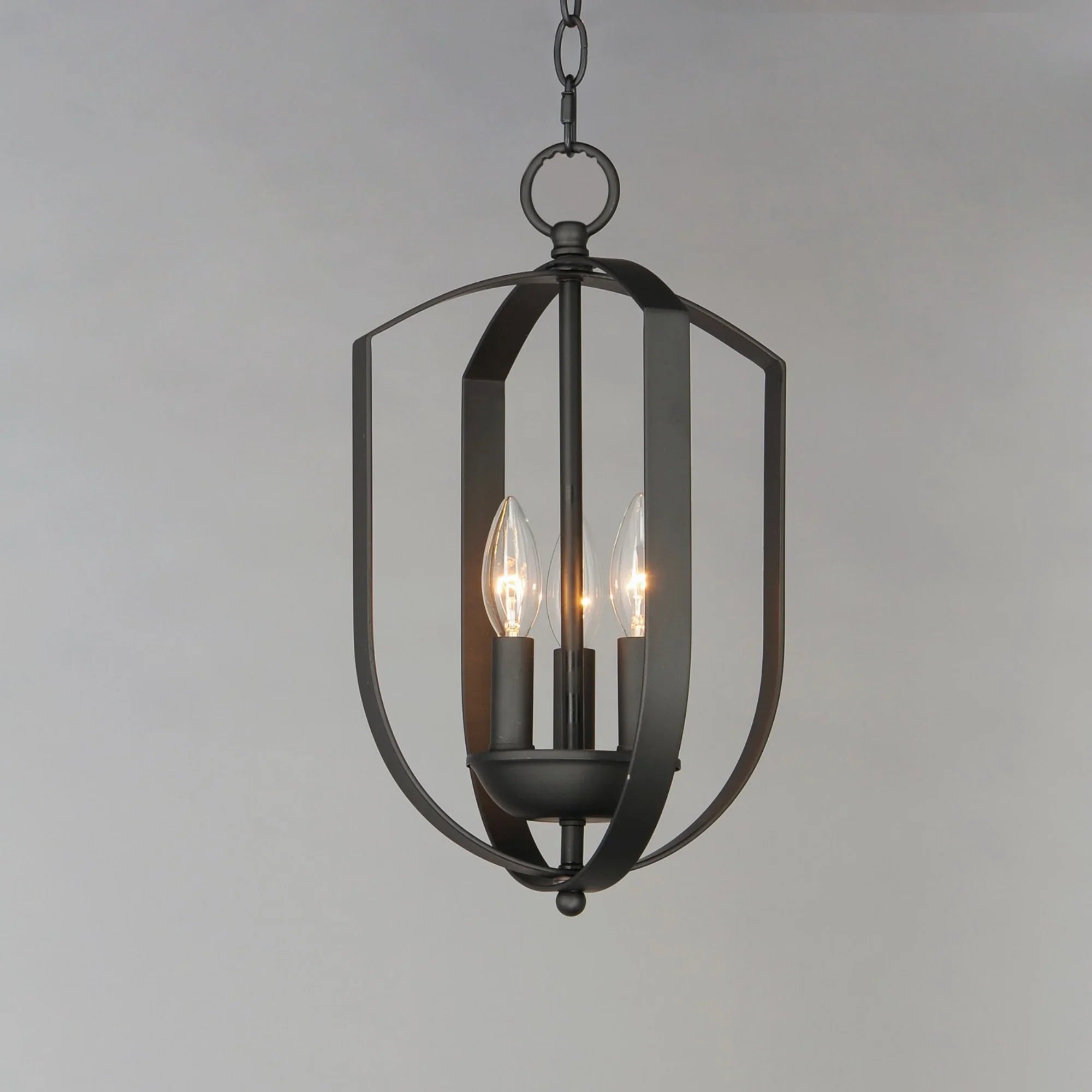 Provident 16" 3-Light Chandelier, Black Finish - Bees Lighting