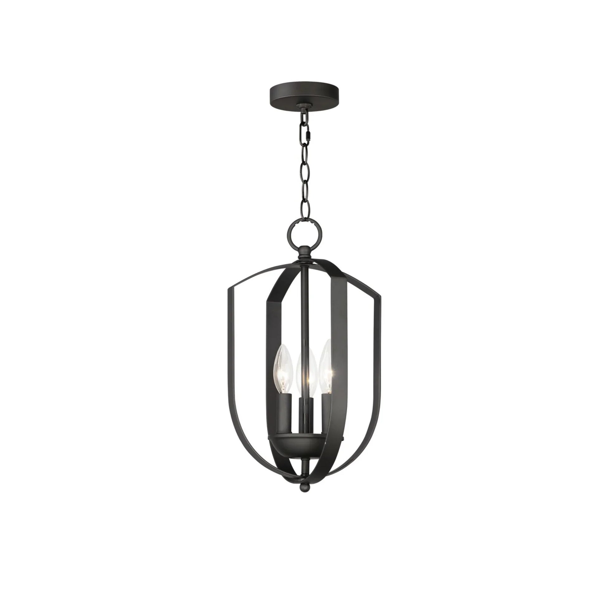 Provident 16" 3-Light Chandelier, Black Finish - Bees Lighting