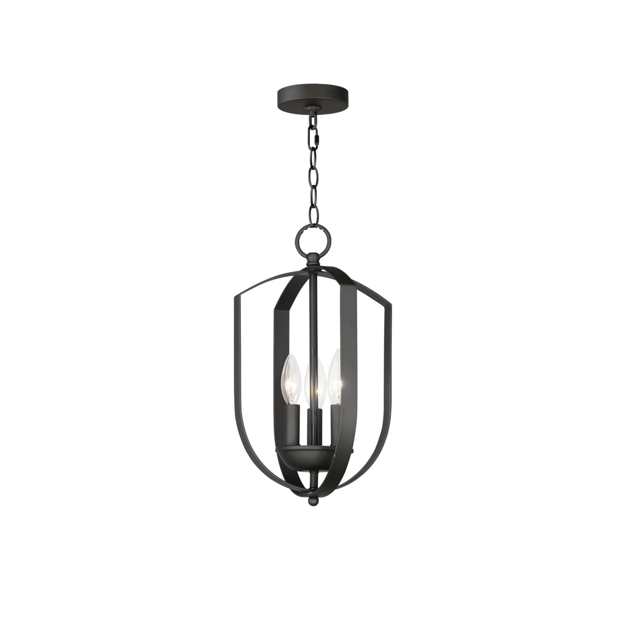 Provident 16" 3-Light Chandelier, Black Finish - Bees Lighting