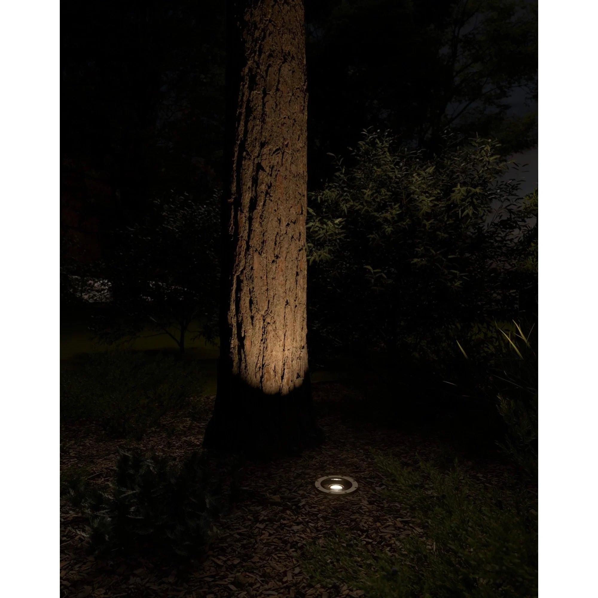 VLO LED In-Ground Landscape Light 15 Degree 3000K Centennial Brass - Bees Lighting