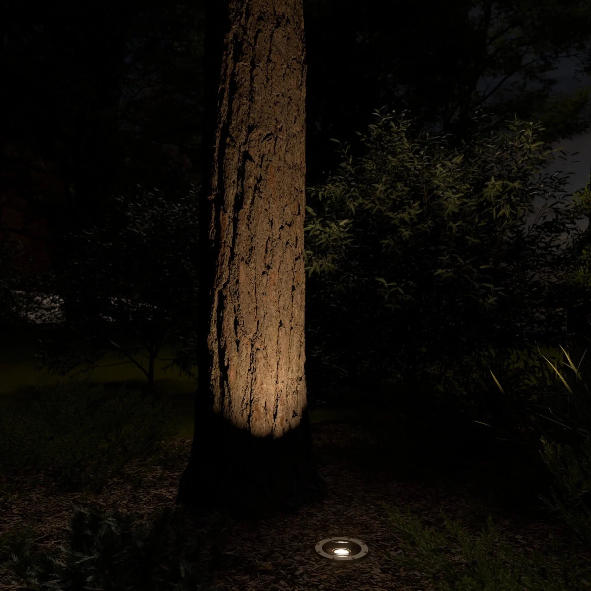 VLO LED In-Ground Landscape Light 15 Degree 3000K Centennial Brass - Bees Lighting