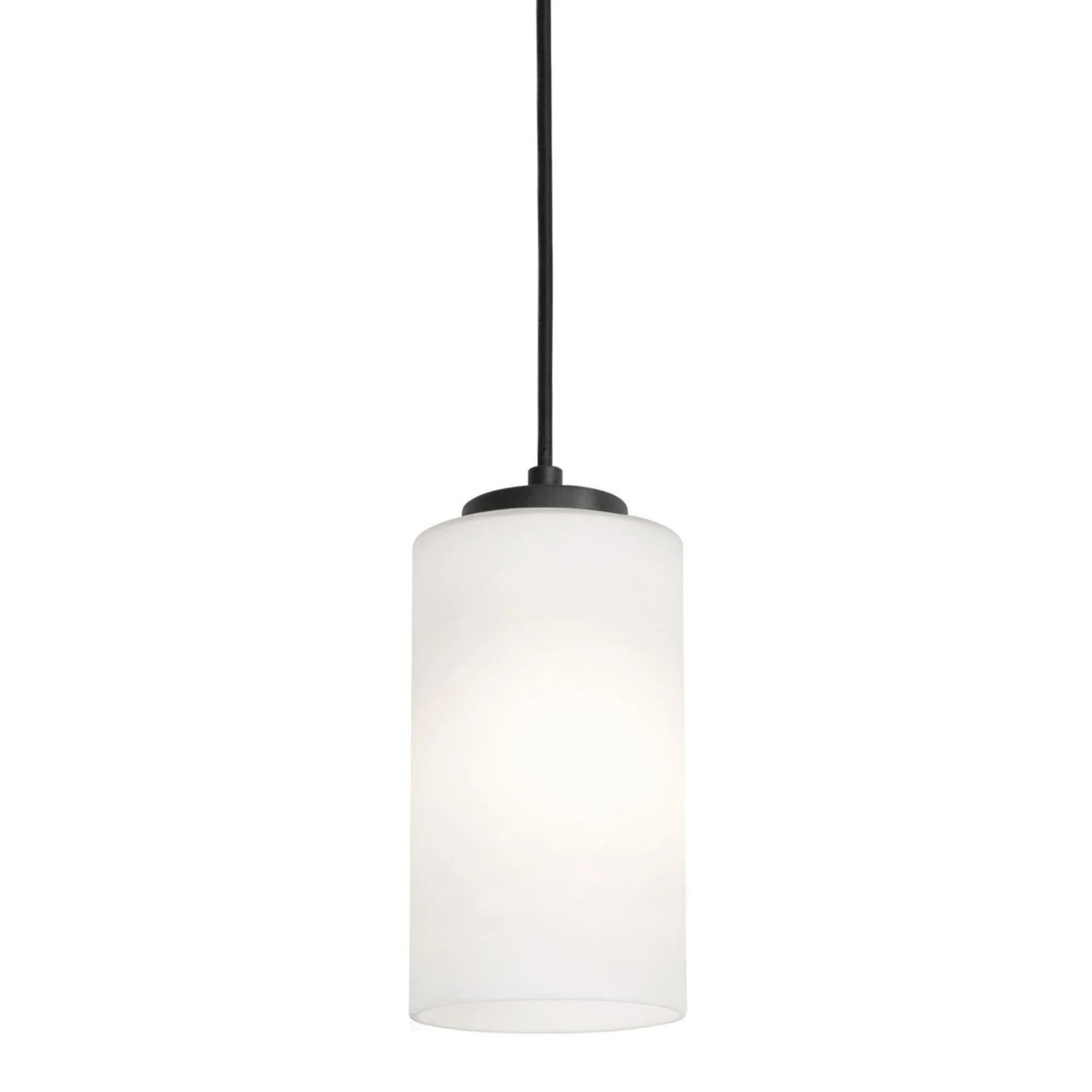 Leo 4" Mini Pendant, Black Finish - Bees Lighting