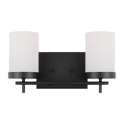 Zire 14" 2-Light LED Bathroom Vanity, Midnight Black Finish - Bees Lighting