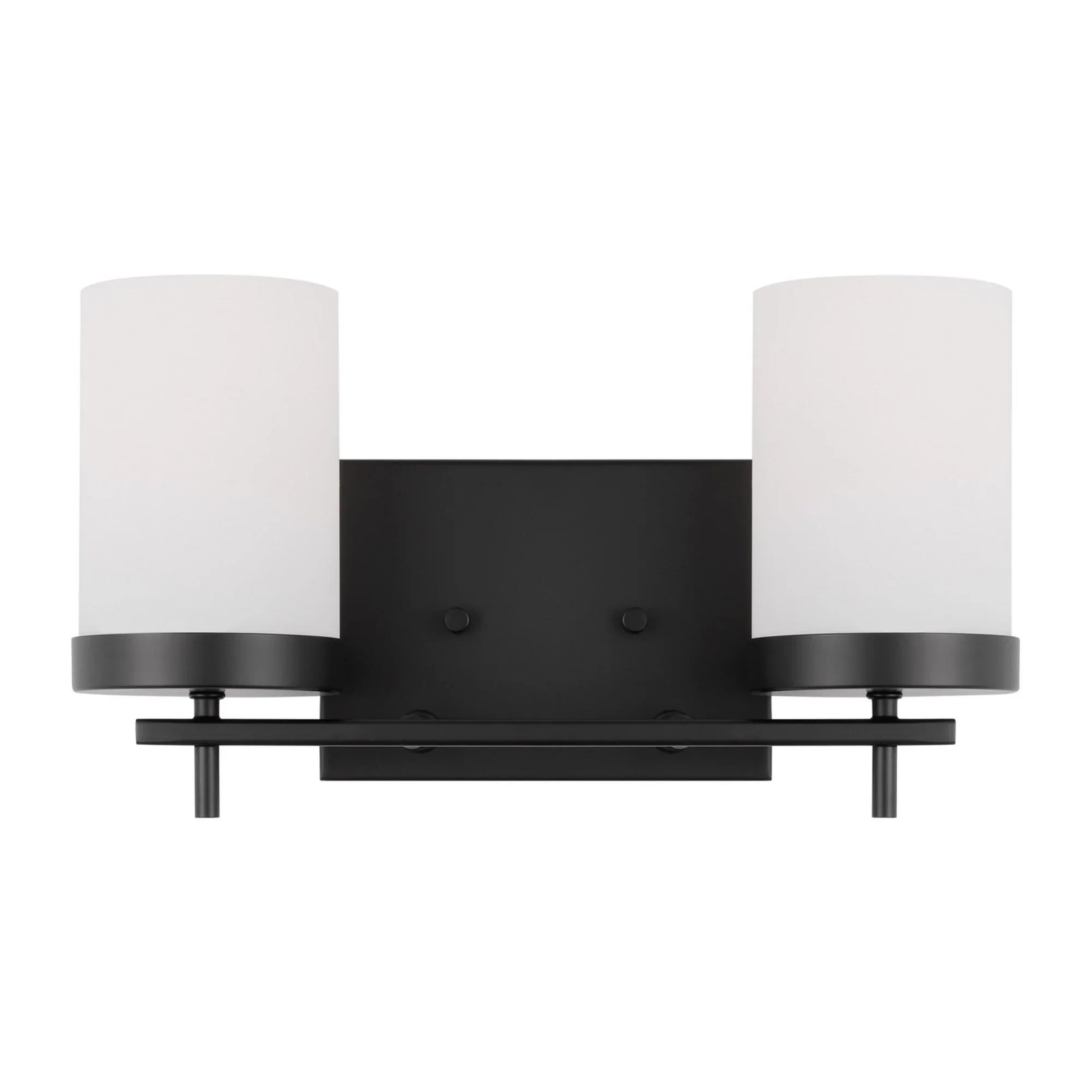 Zire 14" 2-Light LED Bathroom Vanity, Midnight Black Finish - Bees Lighting