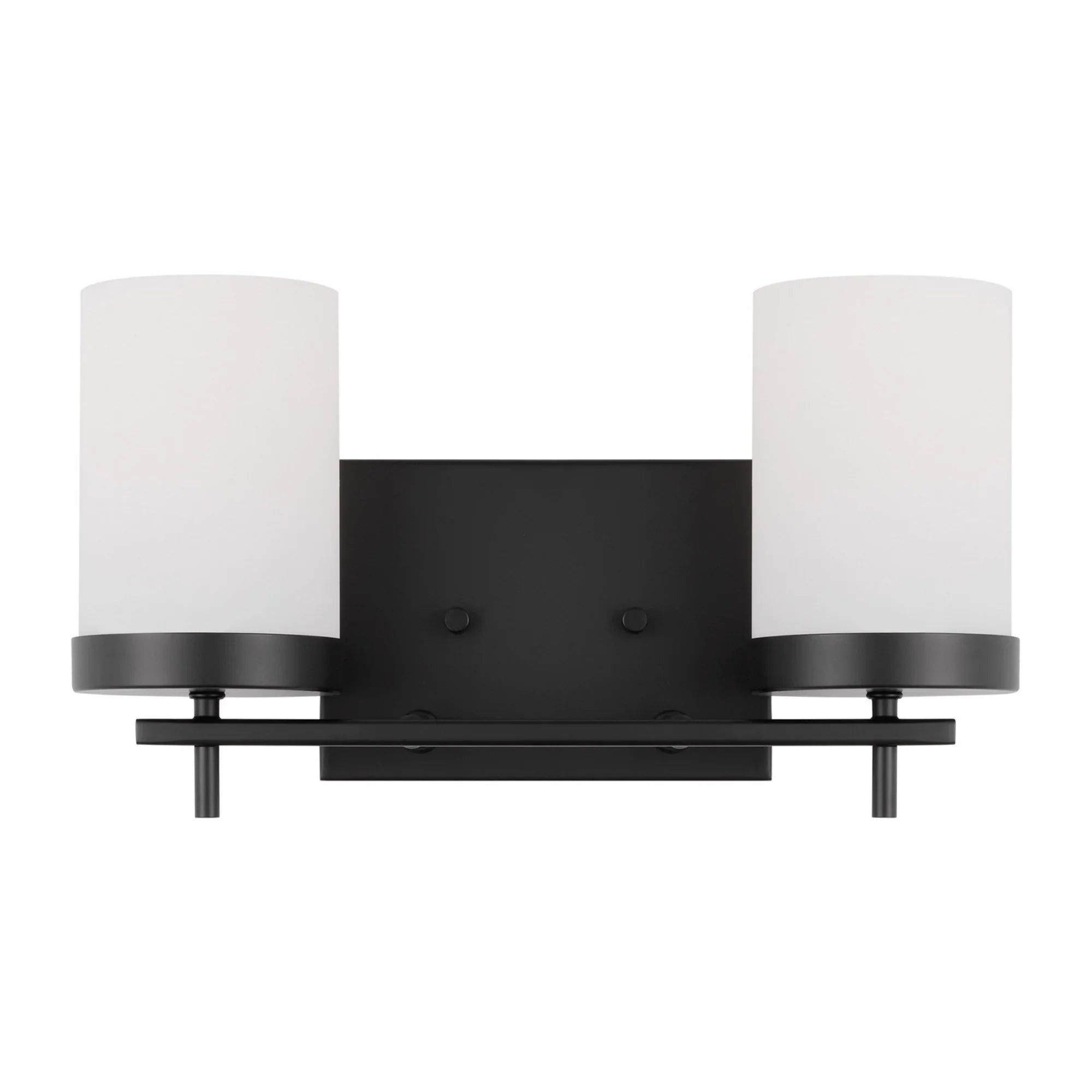 Zire 14" 2-Light LED Bathroom Vanity, Midnight Black Finish - Bees Lighting