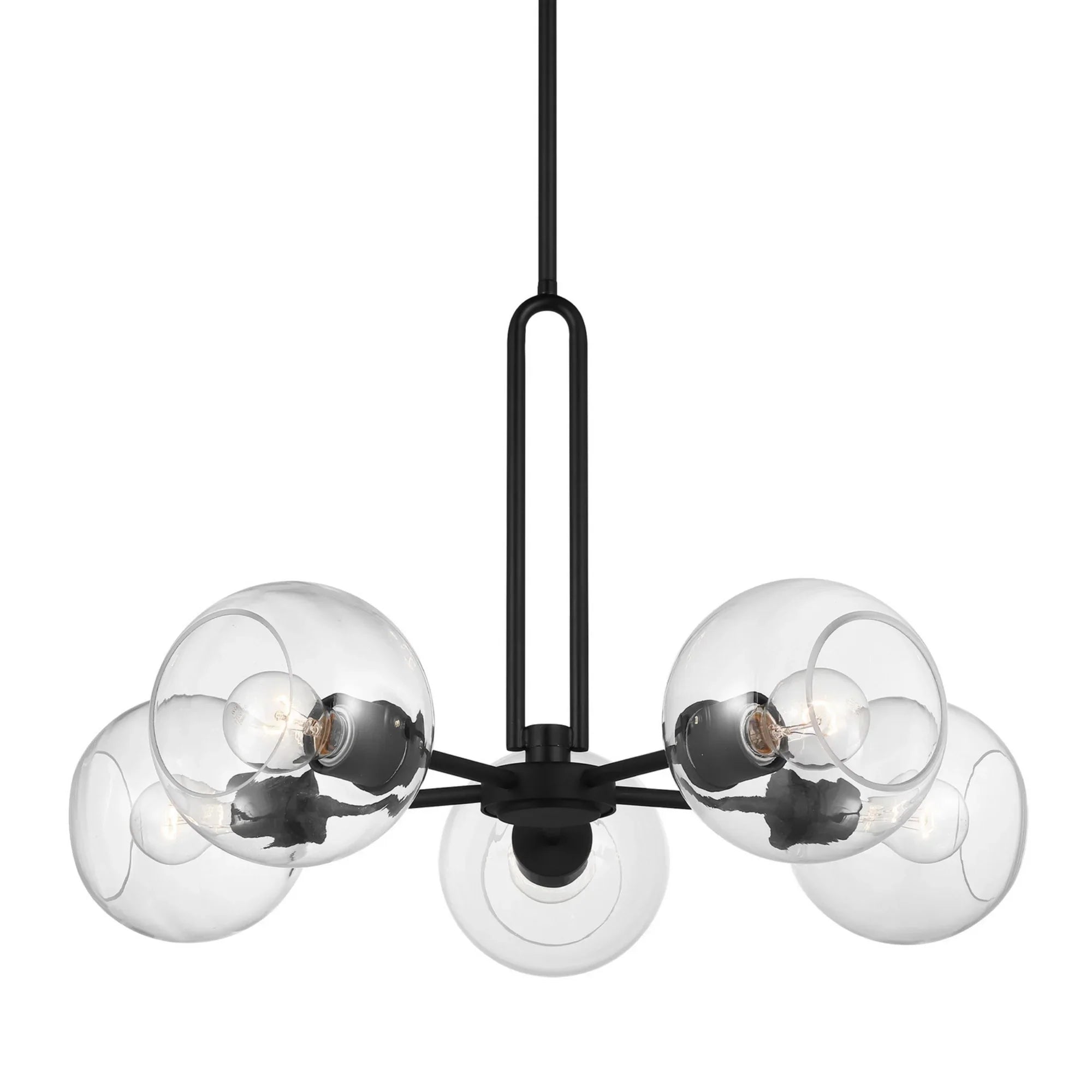 Codyn 26" 5-Light Medium Chandelier, Midnight Black Finish - Bees Lighting