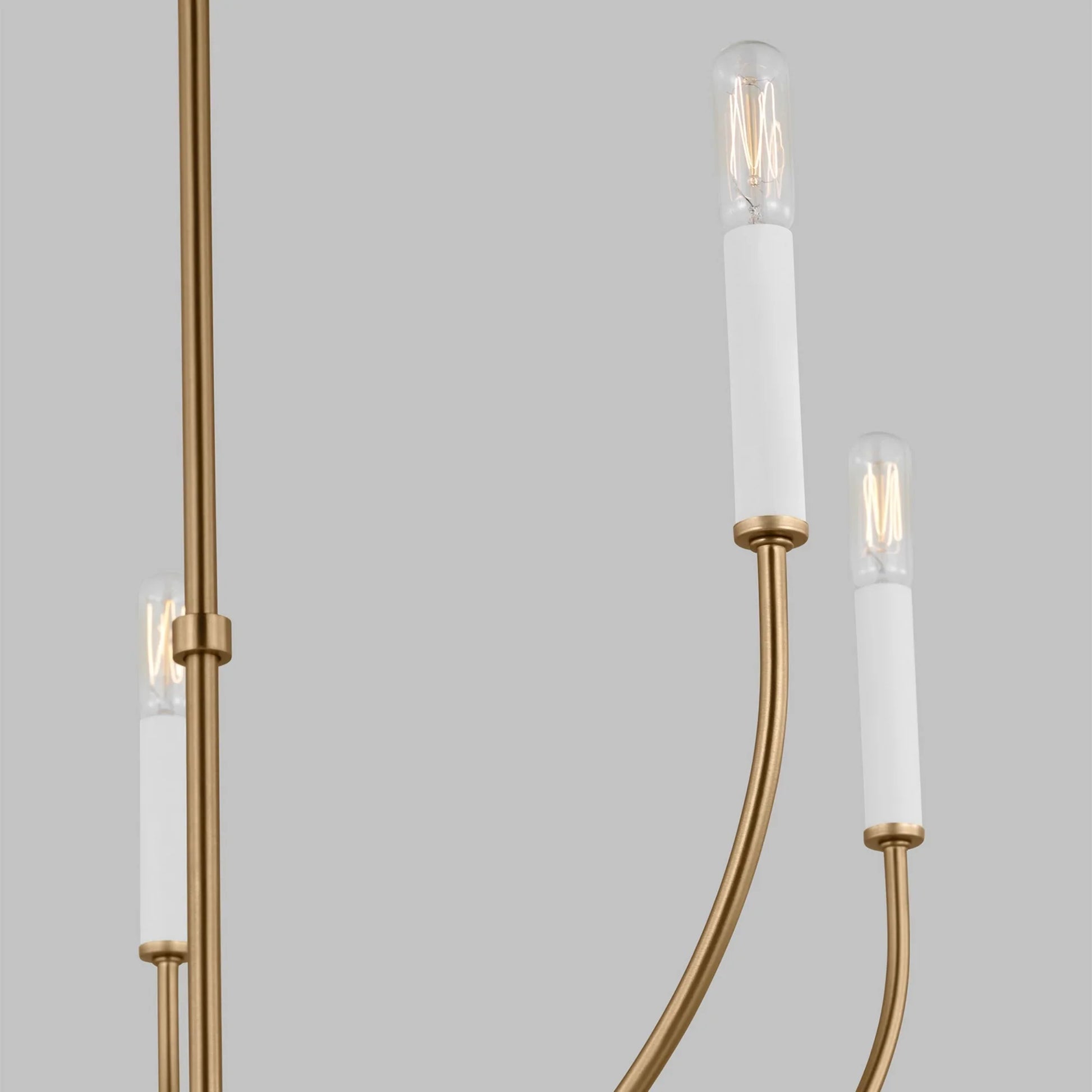 Greenwich 24" 5-Light Chandelier, Satin Brass Finish - Bees Lighting