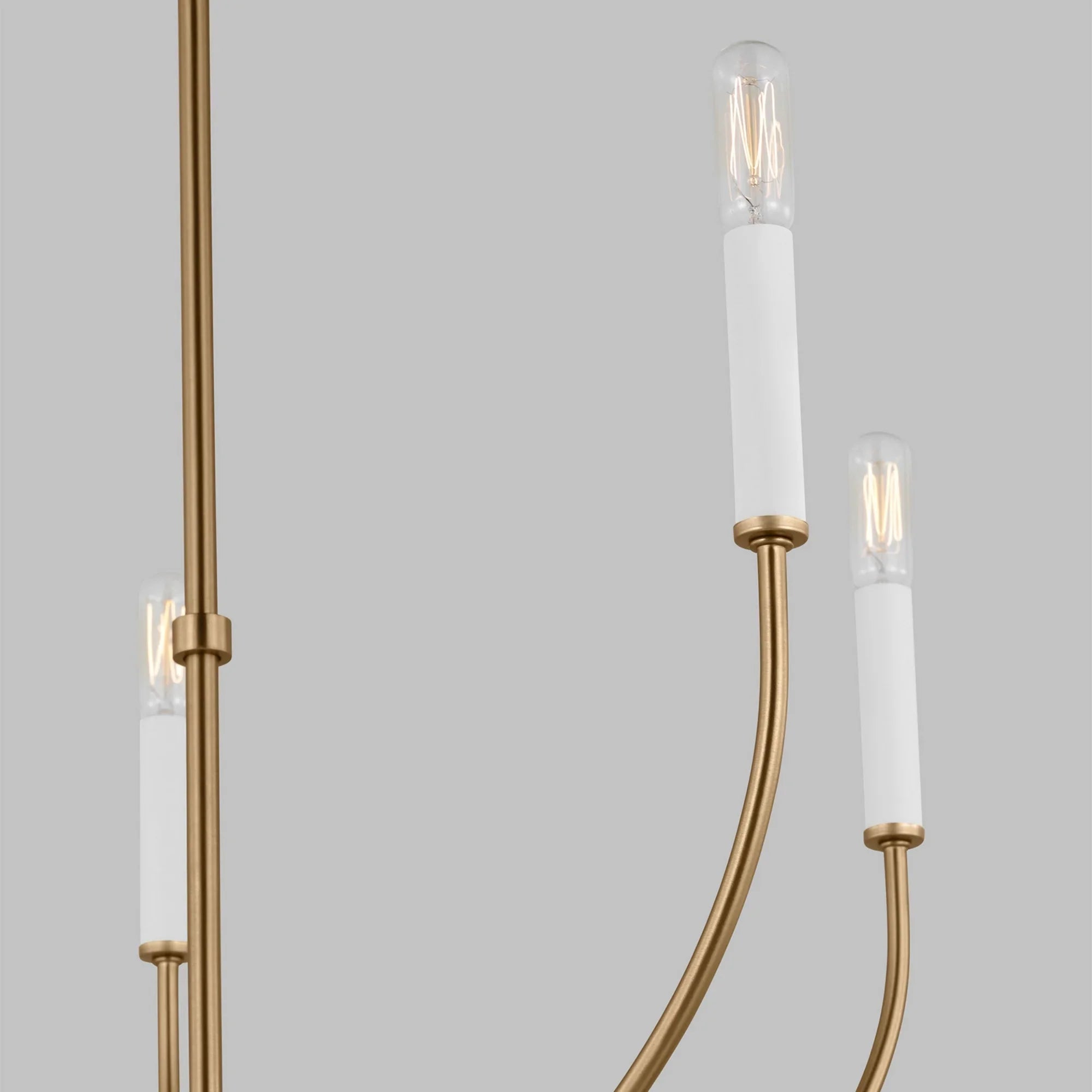 Greenwich 24" 5-Light Chandelier, Satin Brass Finish - Bees Lighting