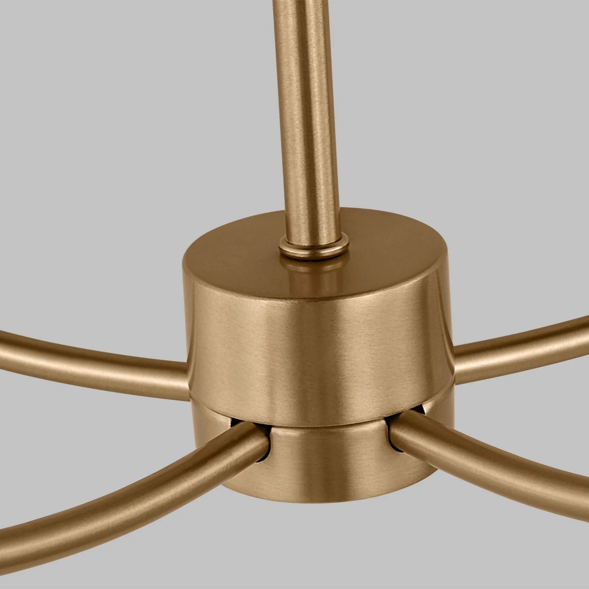 Greenwich 24" 5-Light Chandelier, Satin Brass Finish - Bees Lighting