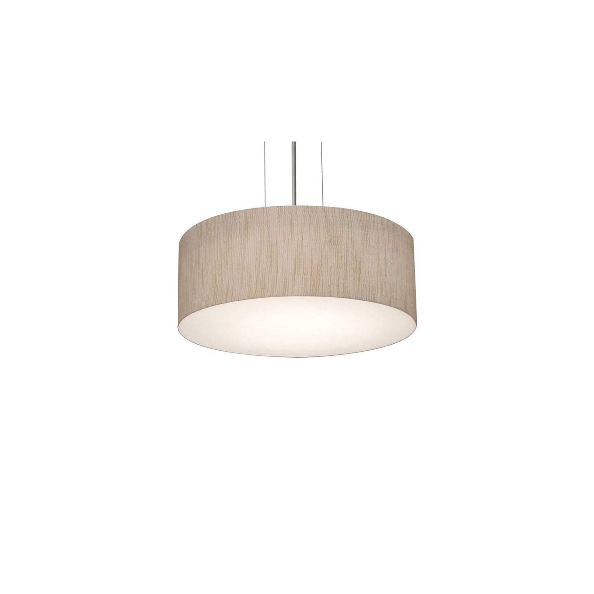 Anton 12" 2-Light Pendant, Satin Nickel & Jute Finish - Bees Lighting