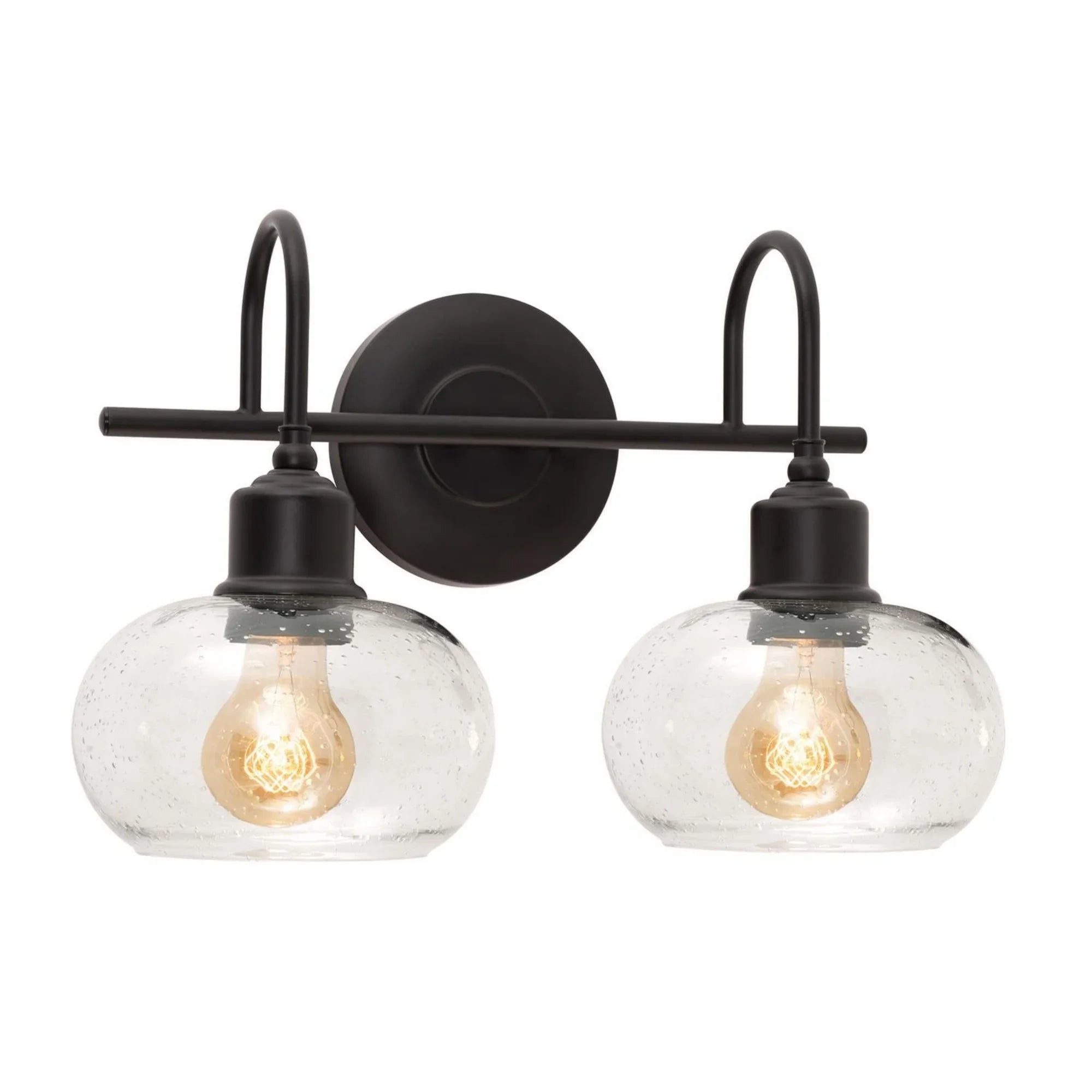 Laney 15" 2-Light Vanity, Black Finish - Bees Lighting