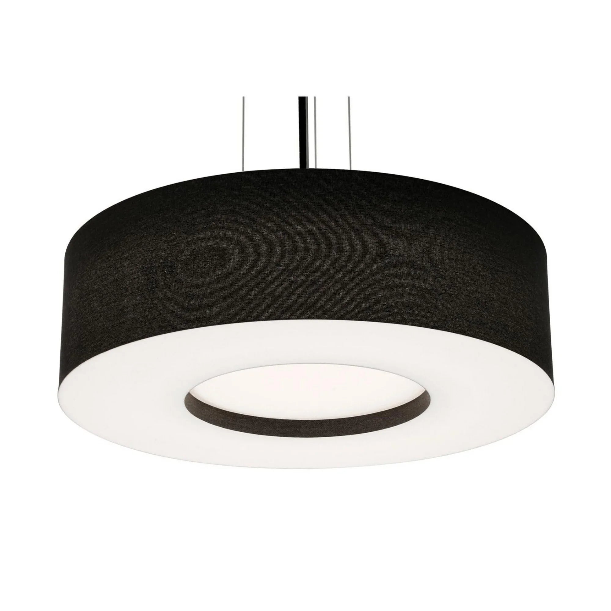 Montclair 24" LED Pendant, Black Finish & Black Shade - Bees Lighting