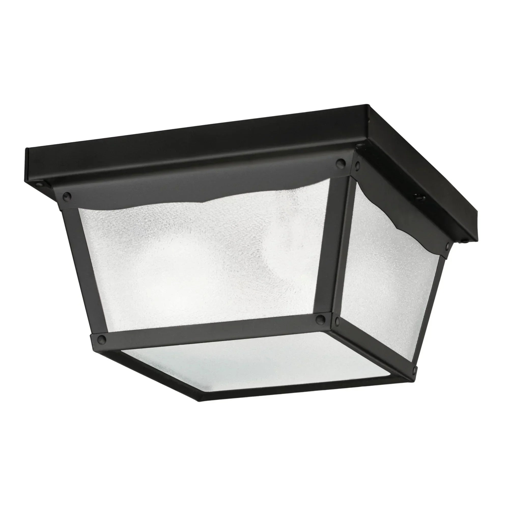 Miscellaneous Outdoor Ceiling Light - Bees Lighting