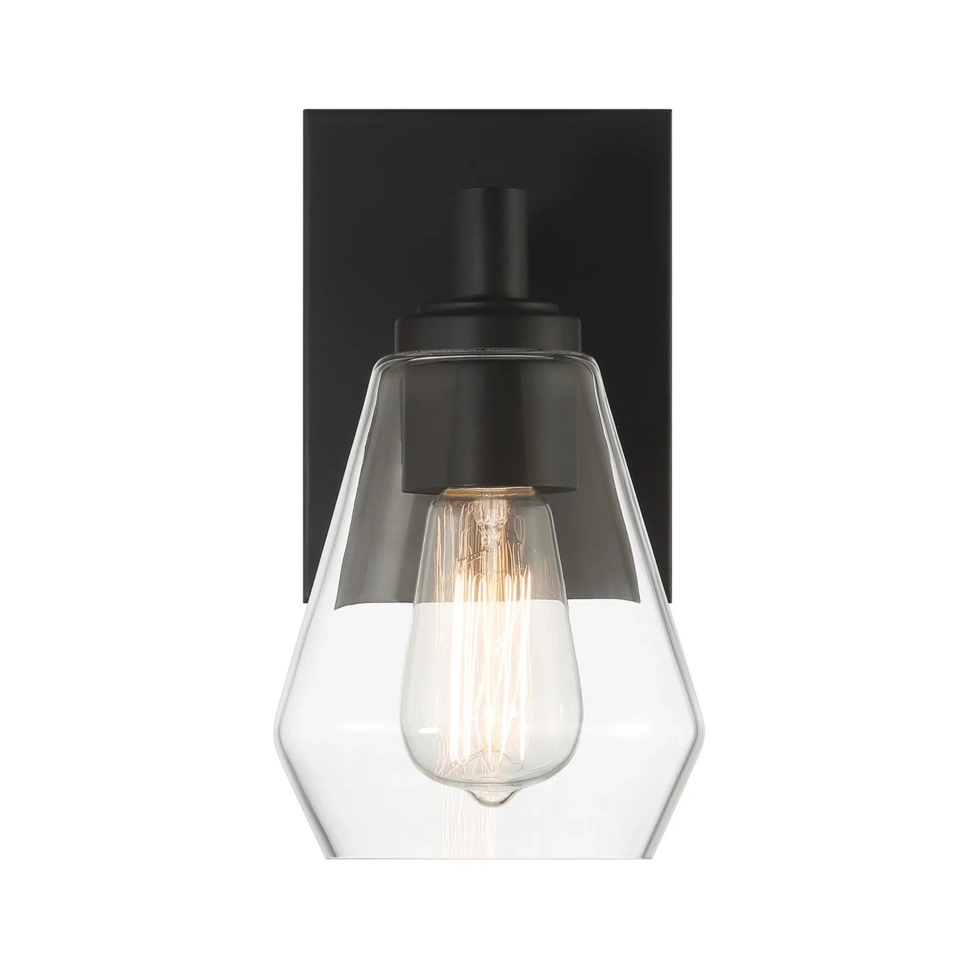 Clarity 10" Bathroom Vanity Light, Coal Finish - Bees Lighting