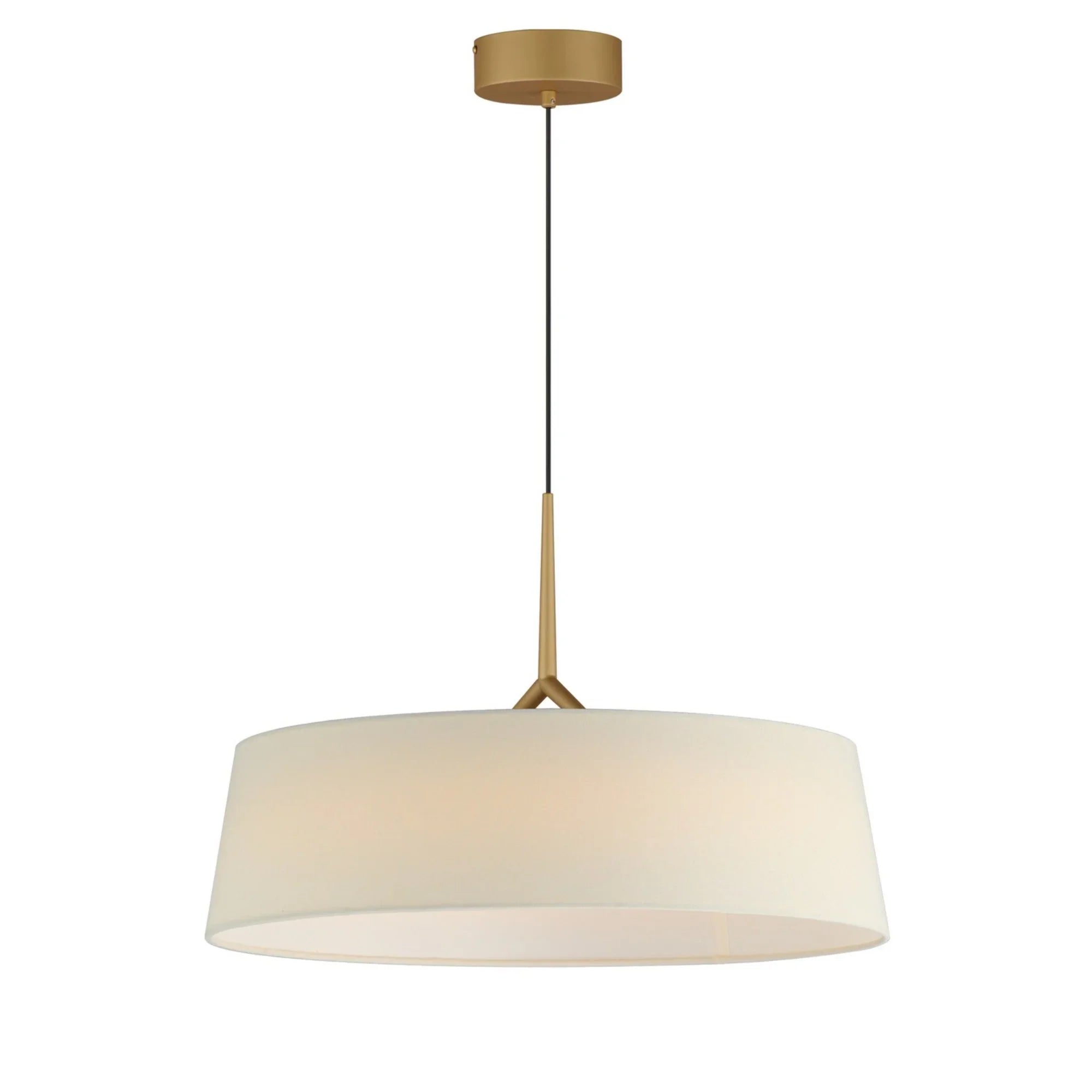 Paramount 21" LED Pendant, Natural Aged Brass Finish - Bees Lighting