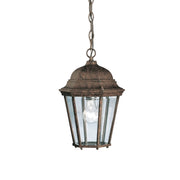 Madison 14" Outdoor Pendant, Tannery Bronze Finish - Bees Lighting
