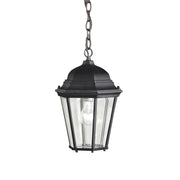 Madison 14" Outdoor Pendant, Black Finish - Bees Lighting