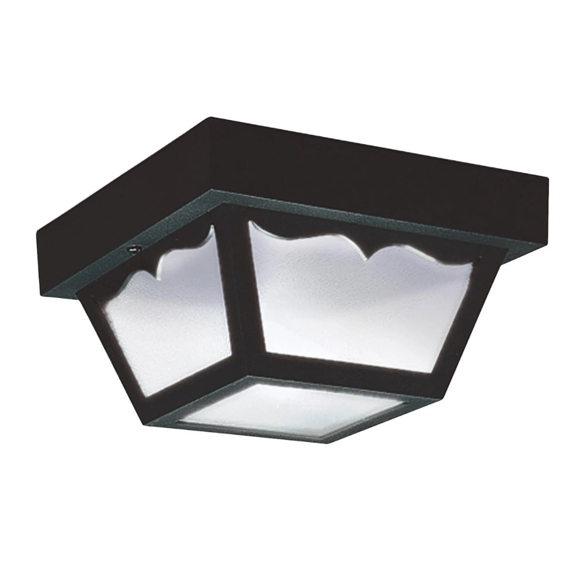 8" Outdoor Flush Mount, Black Finish - Bees Lighting
