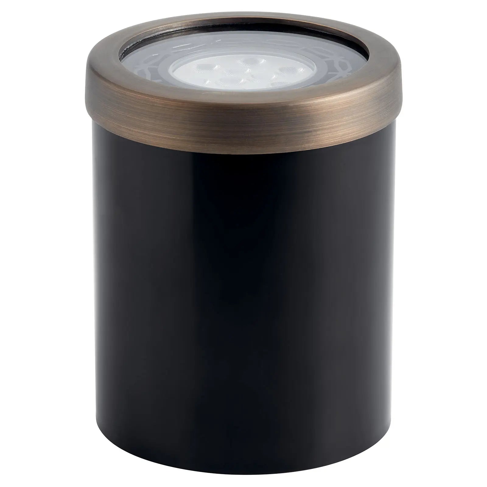 12V Landscape In-Ground Light Brass - Bees Lighting