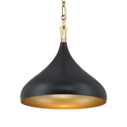 Cedar Lane 13" Pendant, Legacy Brass & Matte Coal Finish - Bees Lighting
