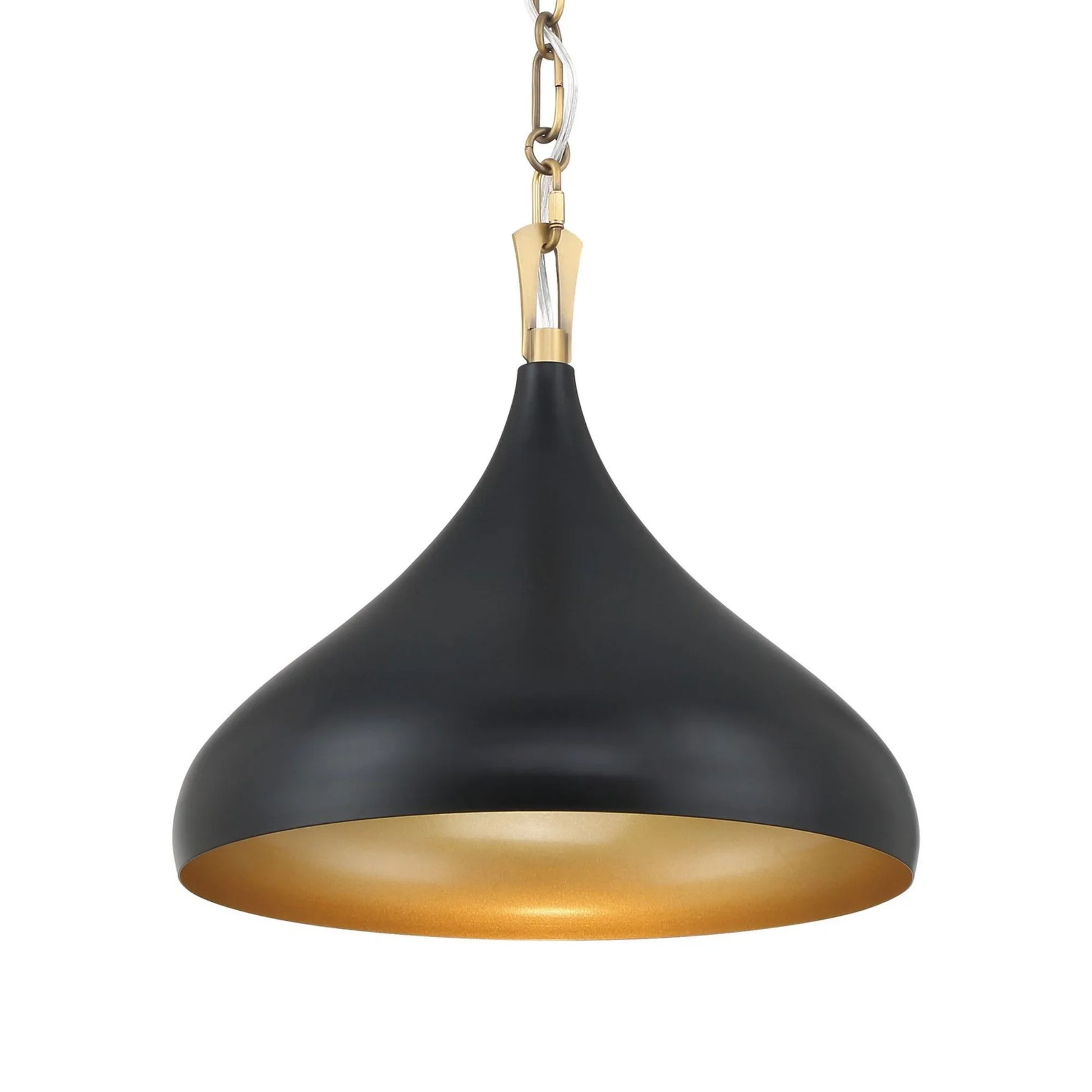 Cedar Lane 13" Pendant, Legacy Brass & Matte Coal Finish - Bees Lighting