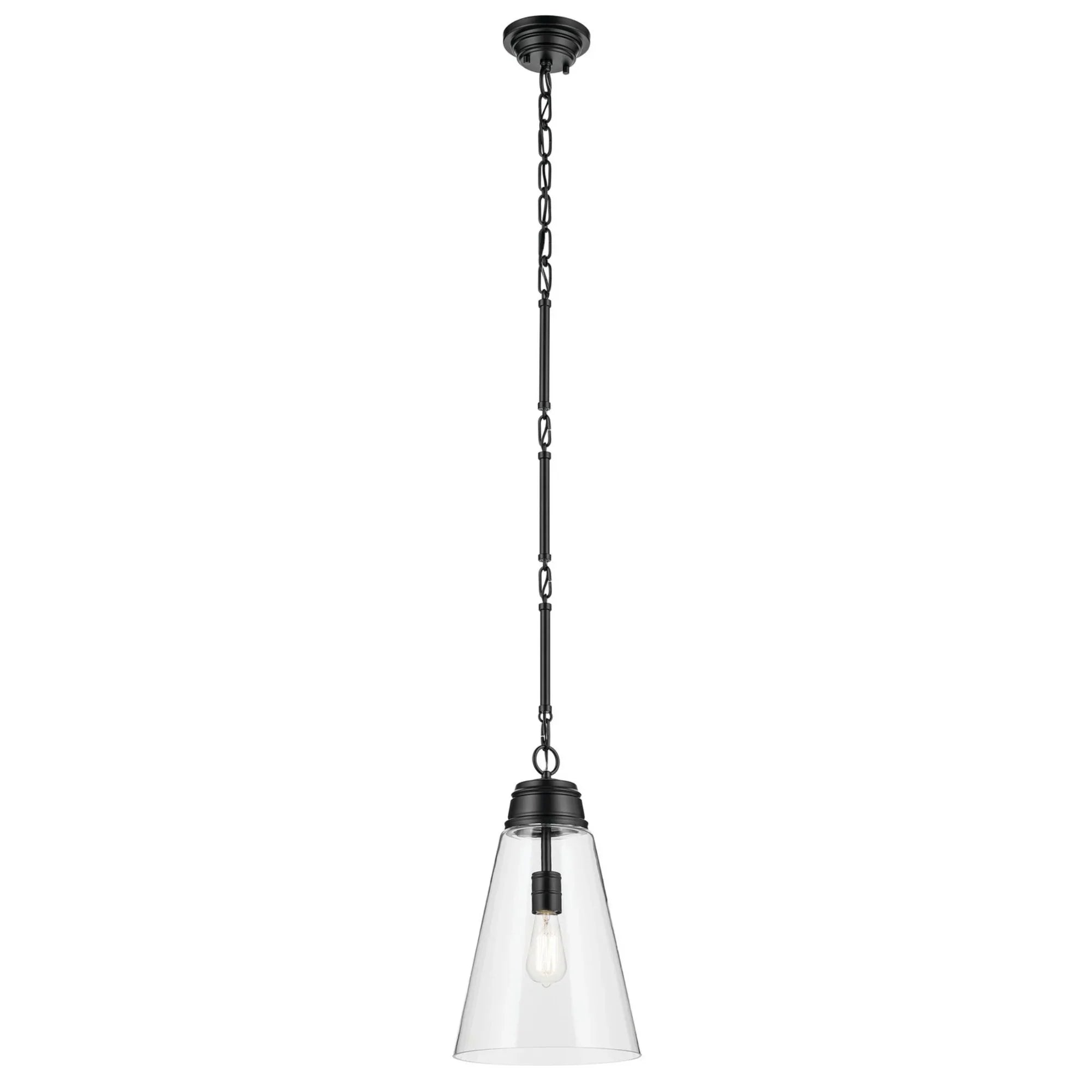 Marsailli 12" Pendant, Black Finish, Clear Glass - Bees Lighting