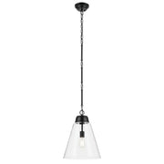 Marsailli 16" Pendant, Black Finish, Clear Glass - Bees Lighting
