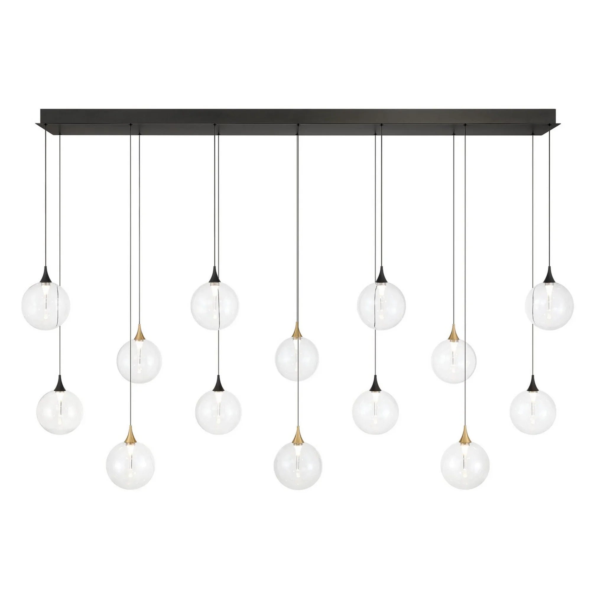 Iissa 14-Light 72" LED Multi Drop Chandelier, Gold & Black Finish with Clear Glass - Bees Lighting