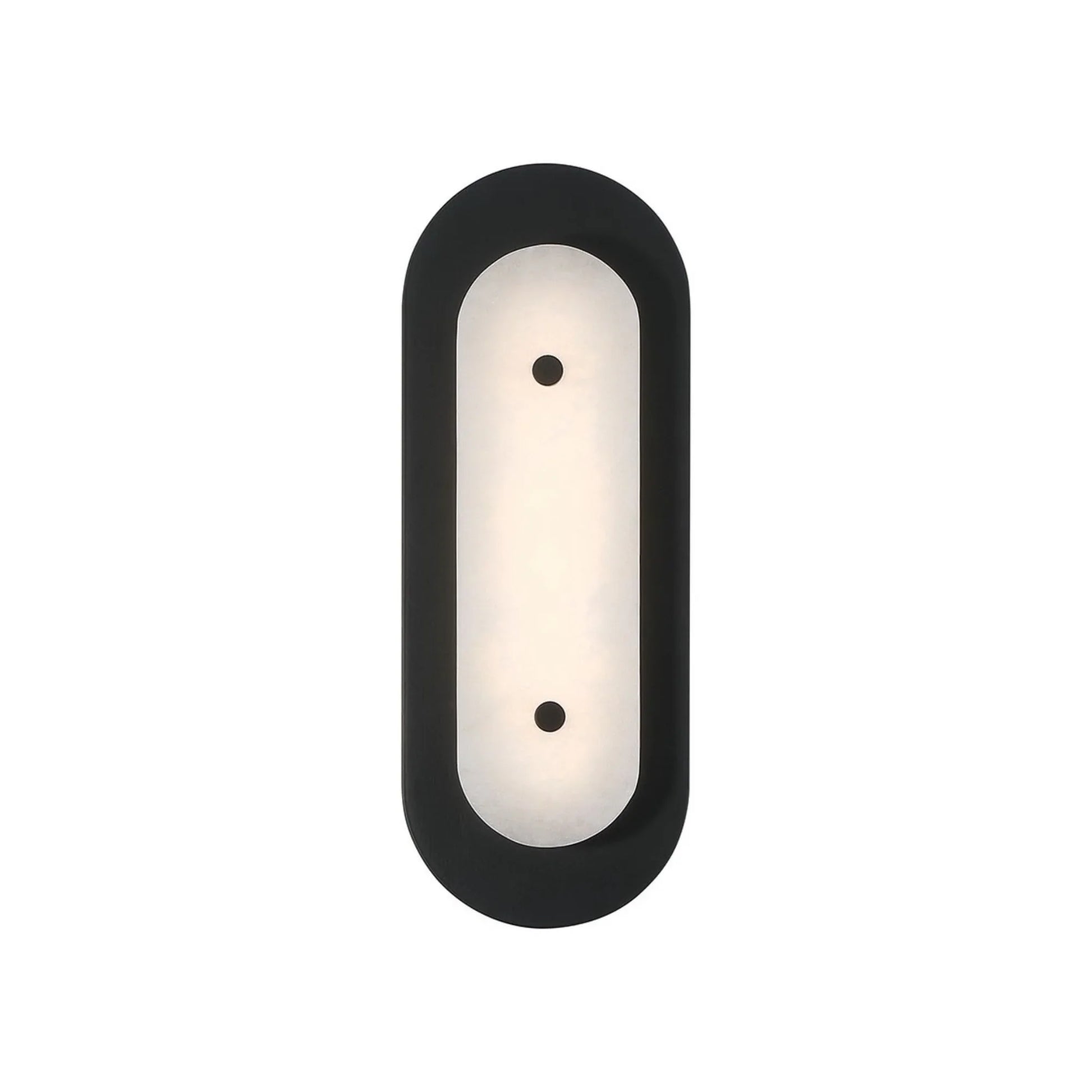 Tramore 16" LED Outdoor Wall Sconce, Black Finish with Alabaster Glass - Bees Lighting