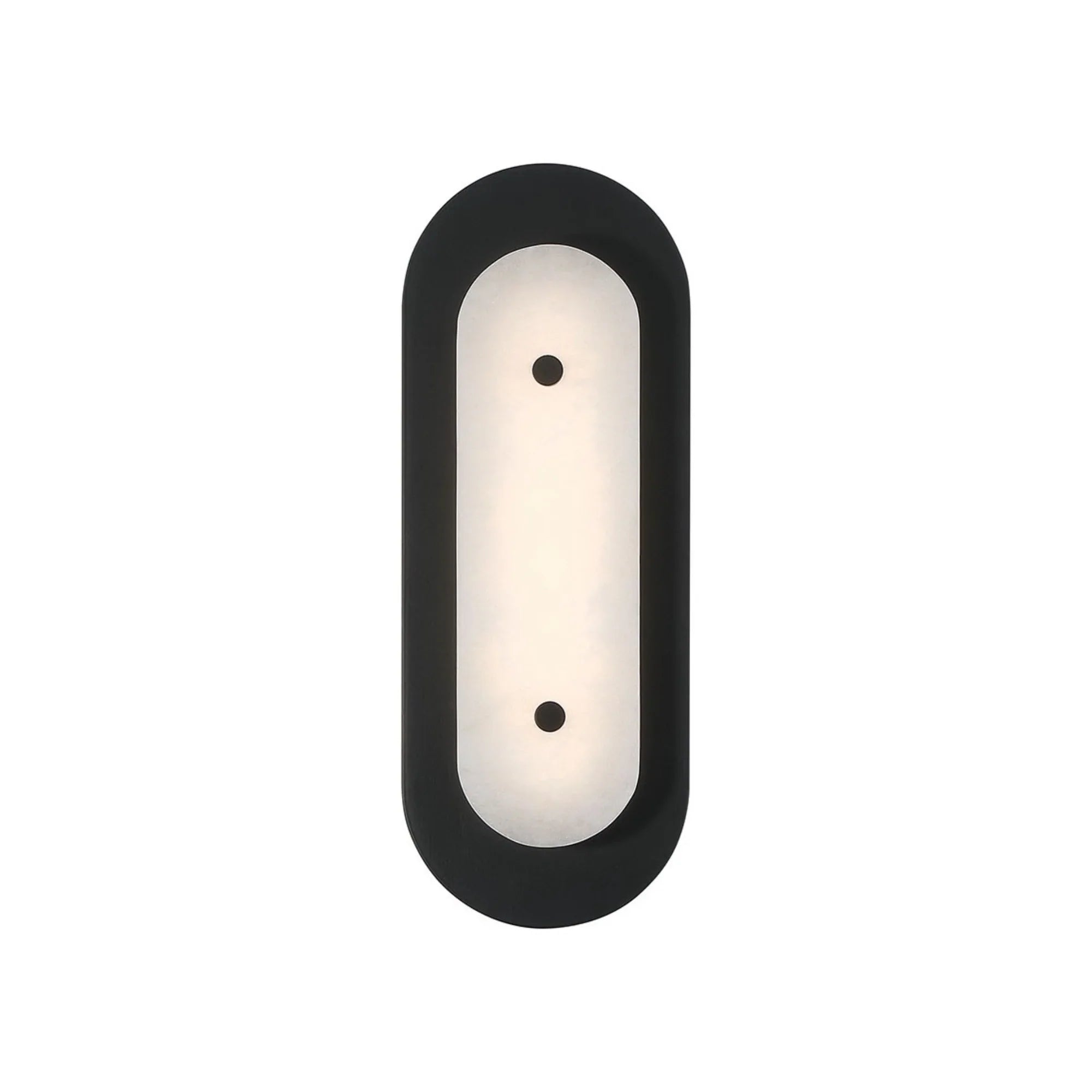 Tramore 16" LED Outdoor Wall Sconce, Black Finish with Alabaster Glass - Bees Lighting