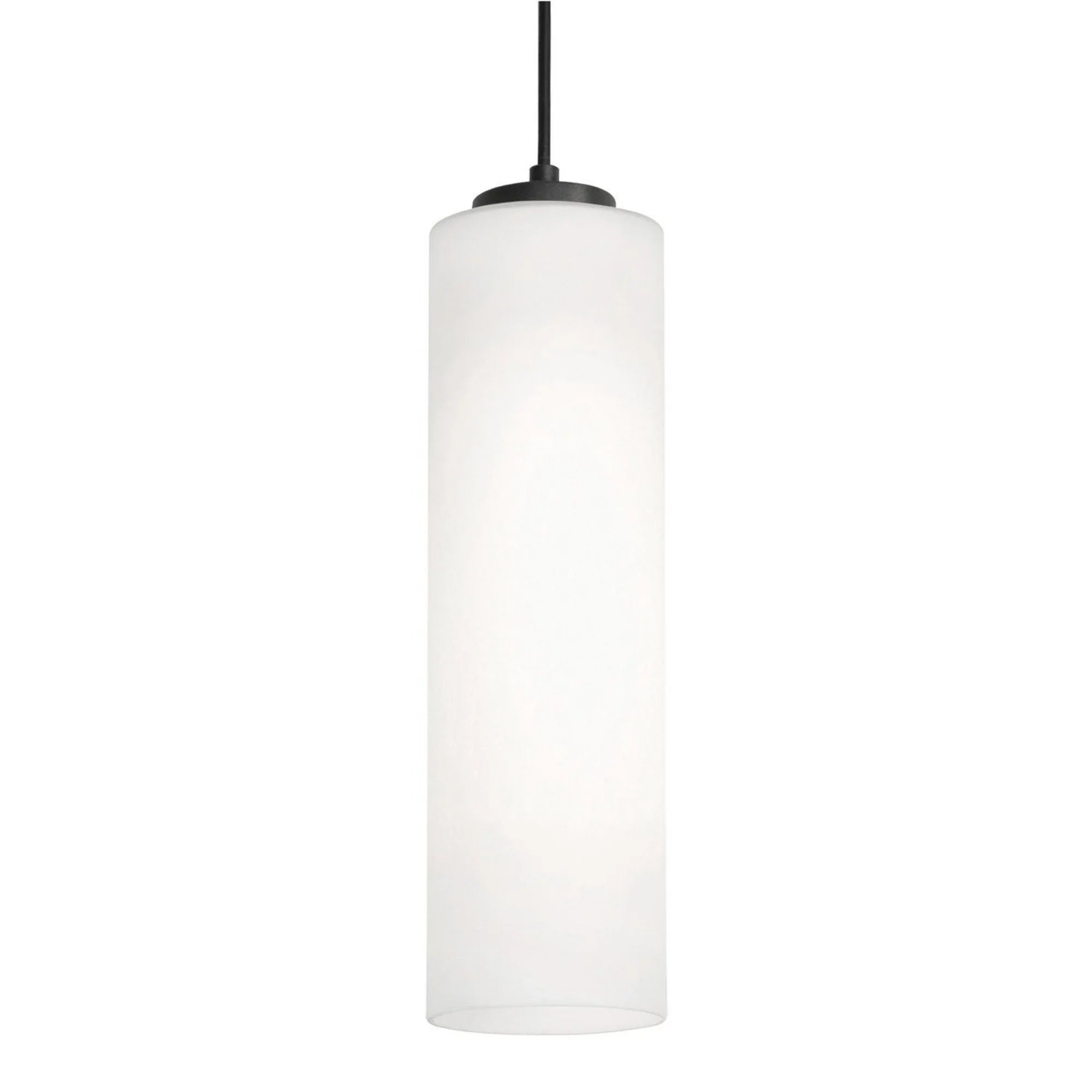 Leo 12" Pendant, Black Finish - Bees Lighting