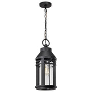 Wilton 20" Outdoor Hanging Light, Matte Black Finish - Bees Lighting