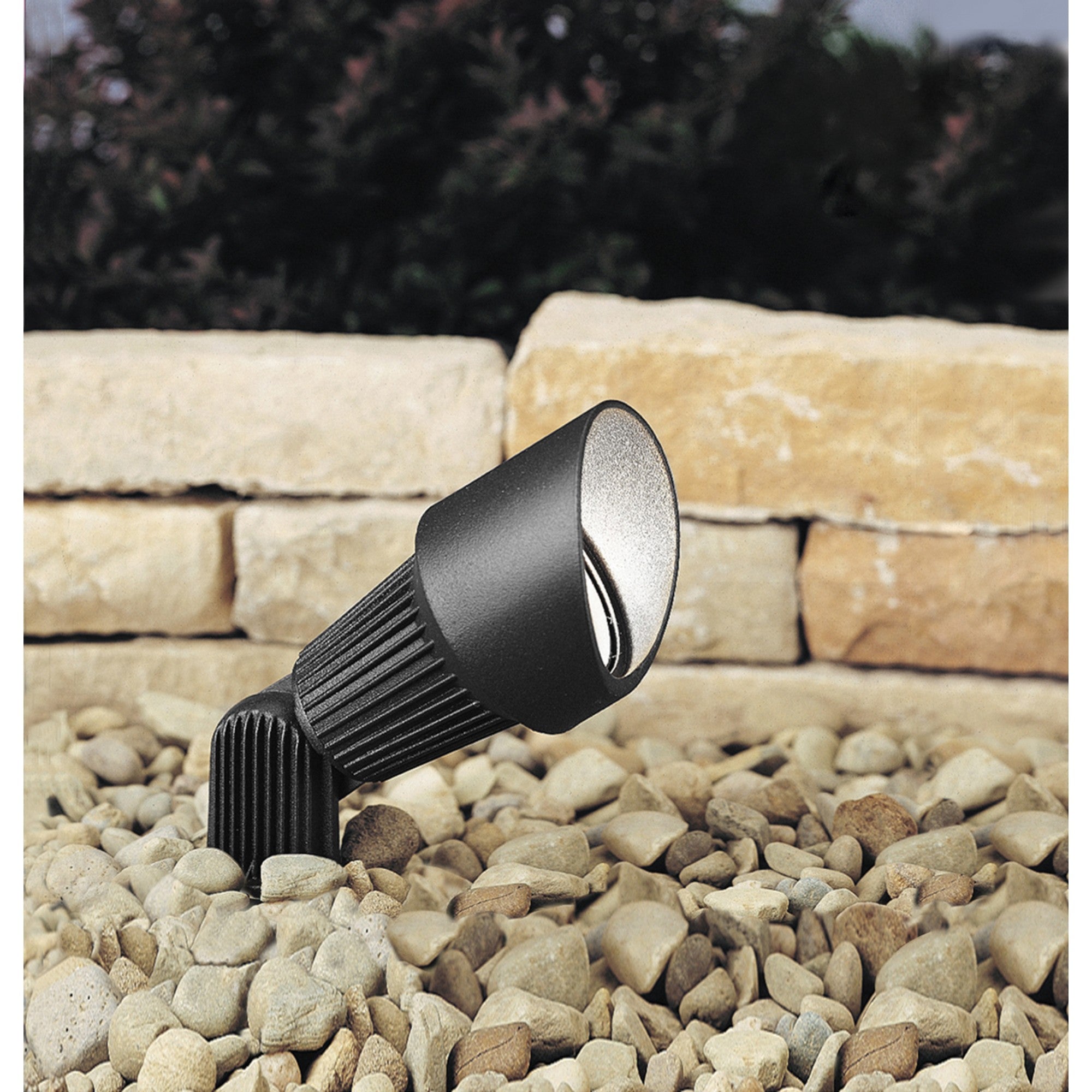 1 Light Accent Spotlight