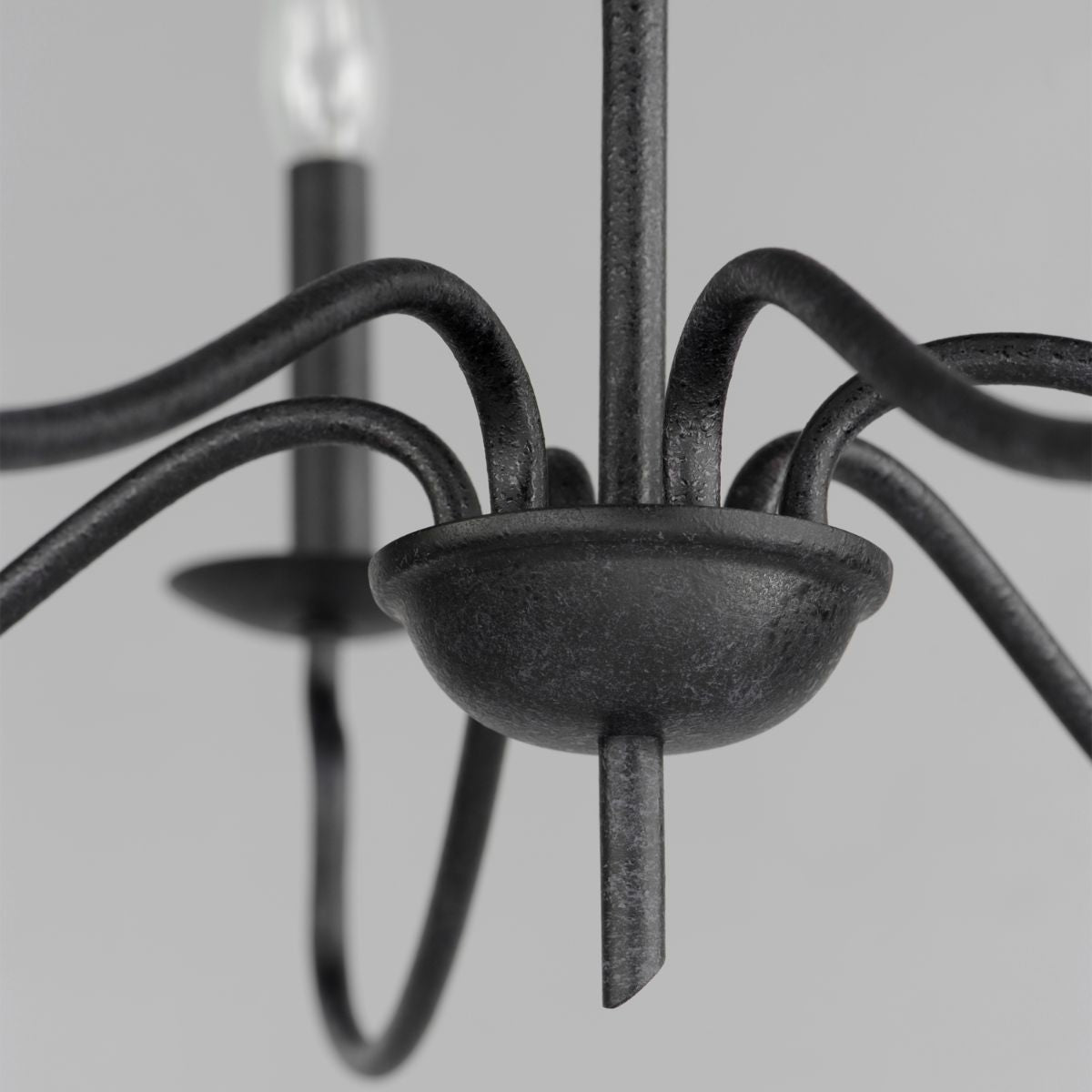 Padrona 33 in. 6 lights Chandelier Black Oxide finish - Bees Lighting