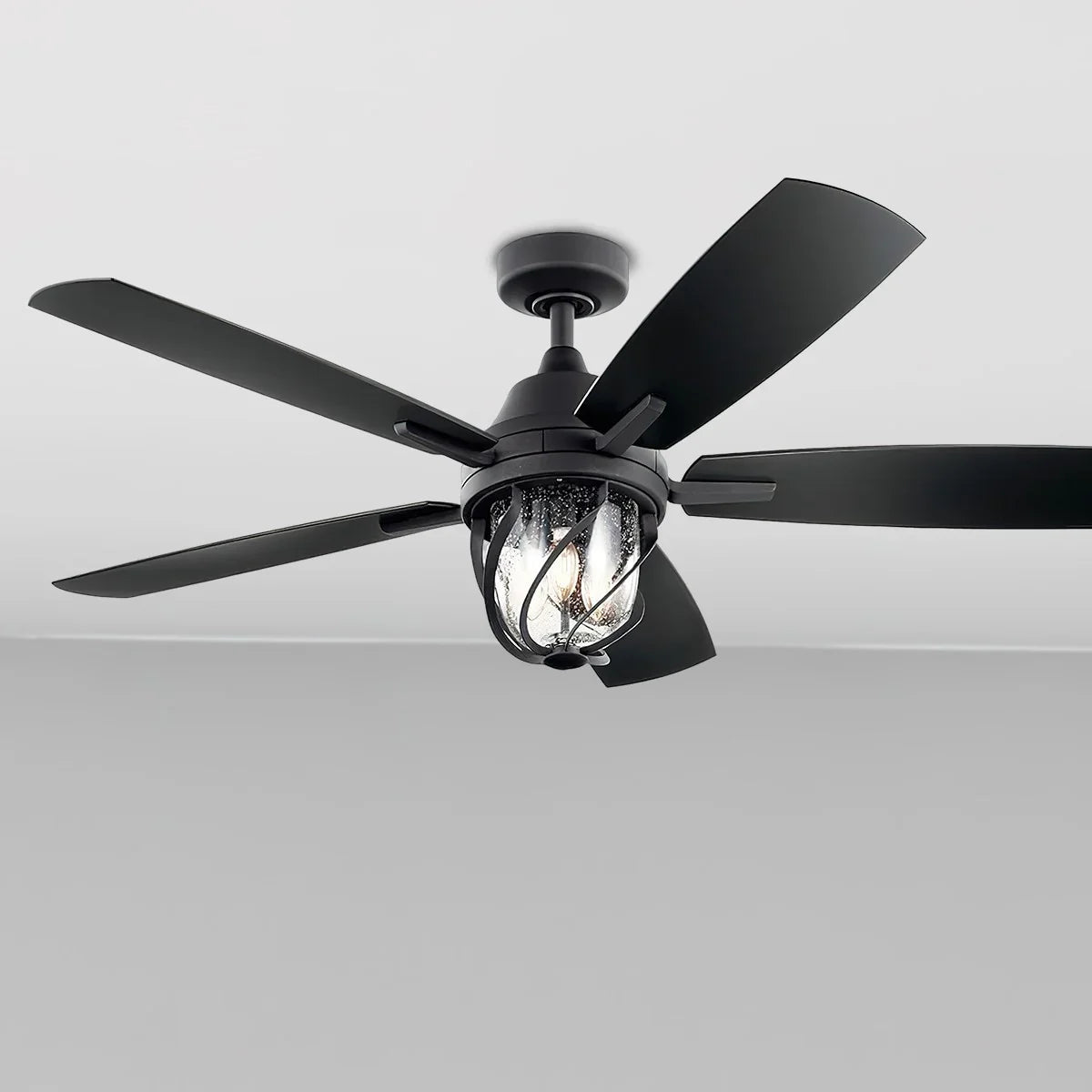 Lydra 52 Inch Distressed Black Damp Rated Cage LED Ceiling Fan with Remote - Bees Lighting
