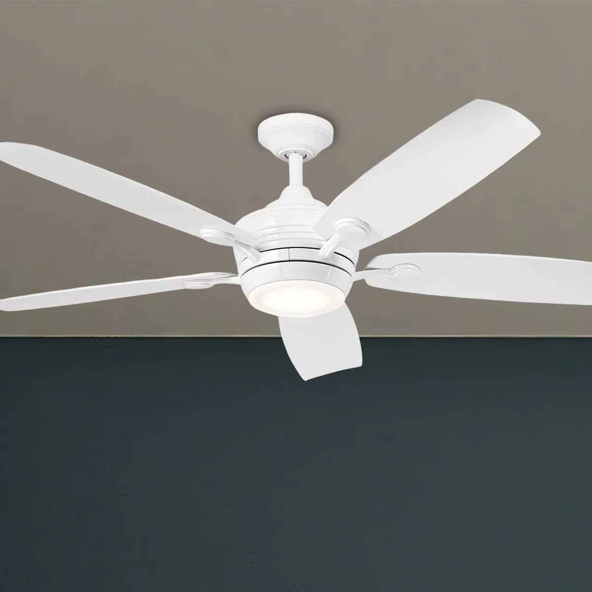 Tranquil 56 Inch White LED Damp Rated Ceiling Fan with Remote - Bees Lighting