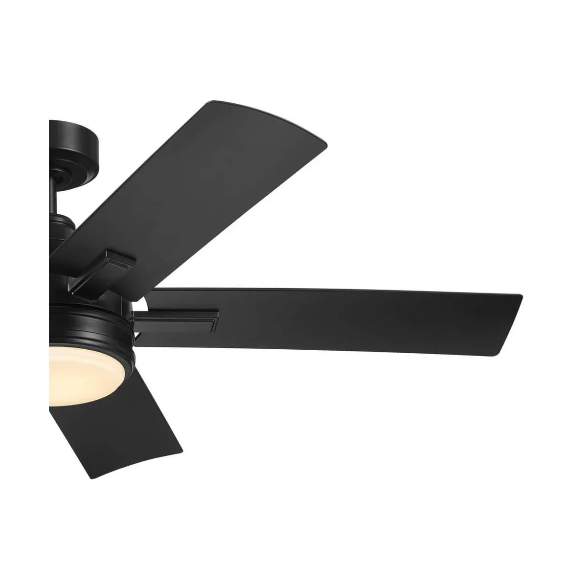 Tide Weather+ 52 Inch Satin Black LED Wet Rated Ceiling Fan with Remote - Bees Lighting